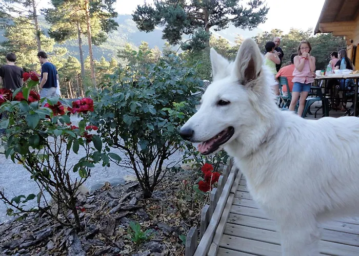 Parc Résidentiel de Loisir : Le Loup Blanc du Riou