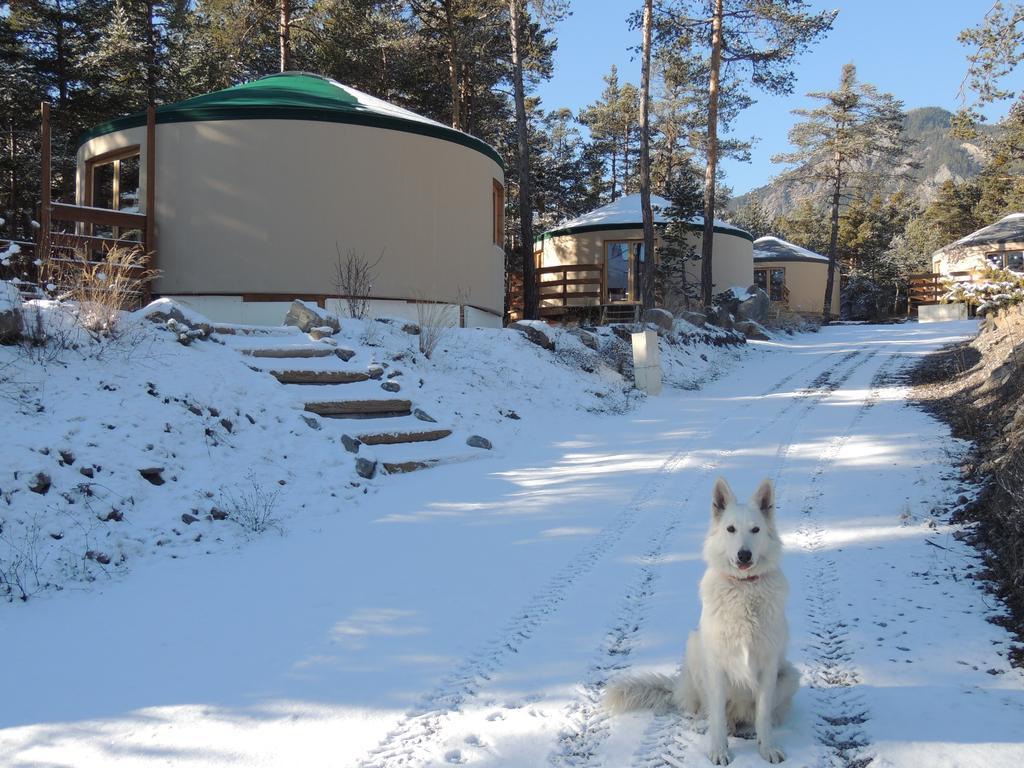 Parc Résidentiel De Loisir : Le Loup Blanc Du Riou Village de vacances