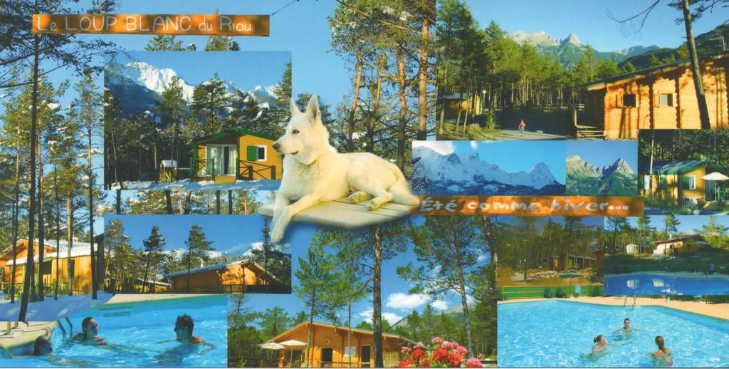 Village de vacances Parc Résidentiel De Loisir : Le Loup Blanc Du Riou